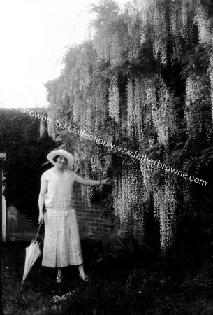 JAPANESE WISTERIA IN GARDEN WITH 